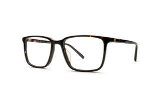3790103480 Tortoise image-3