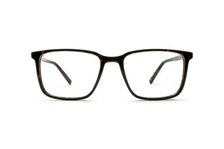 3790103480 Tortoise image-1