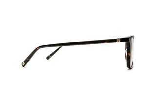 3790103480 Tortoise image-2