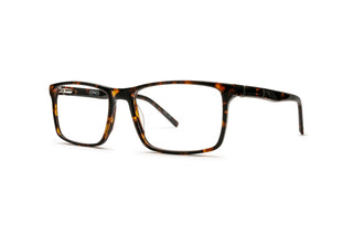 3790300230 Tortoise image-3