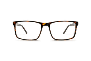3790300230 Tortoise image-1