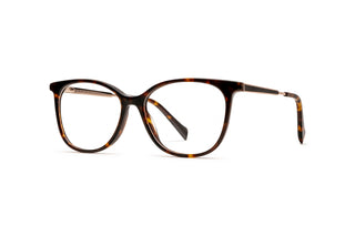 3970100980 Tortoise image-3