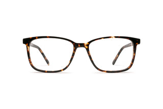 3970101390 Tortoise image-1