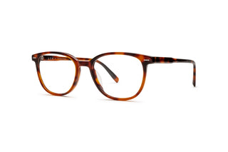 3970101690 Tortoise image-3