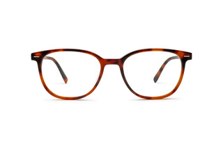 3970101690 Tortoise image-1