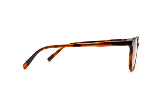 3970101690 Tortoise image-2