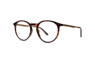 3970101720 Tortoise/Gold image-3