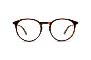 3970101720 Tortoise/Gold image-1
