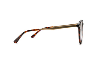 3970101720 Tortoise/Gold image-2