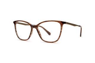 3970101790 Tortoise/Gold image-3