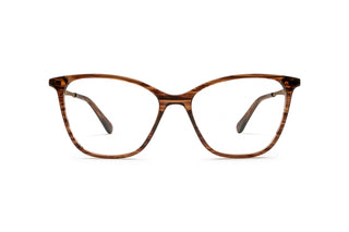 3970101790 Tortoise/Gold image-1