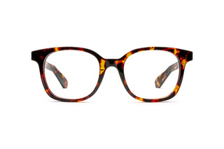 3970101840 Tortoise image-1