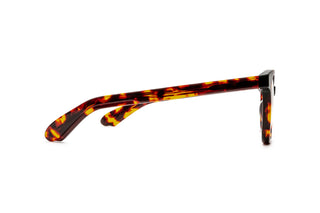 3970101840 Tortoise image-2