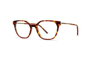3970102020 Tortoise/Gold image-3
