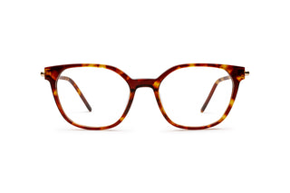 3970102020 Tortoise/Gold image-1