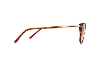 3970102020 Tortoise/Gold image-2
