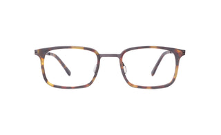 4700400010 Tortoise/Blue image-1
