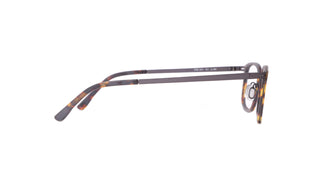 4700400010 Tortoise/Blue image-2