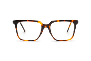 4750100380 Tortoise image-1