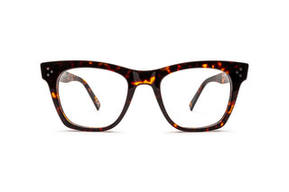 4750100720 Tortoise image-1