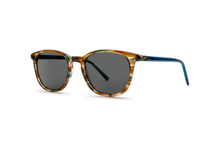 4890500340 Tortoise/Blue image-3