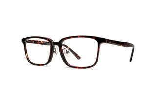 5430102510 Tortoise image-3