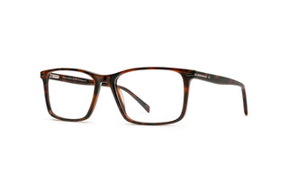 5430102520 Tortoise image-3