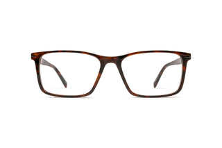 5430102520 Tortoise image-1