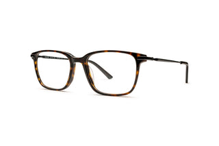 5430102720 Tortoise/Silver image-3