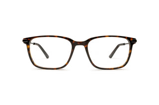 5430102720 Tortoise/Silver image-1