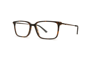 5430102750 Tortoise/Gold image-3