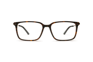 5430102750 Tortoise/Gold image-1