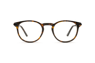 5430102760 Tortoise/Silver image-1