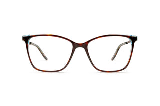 5430102790 Tortoise image-1