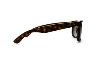 5547104520 Tortoise image-2