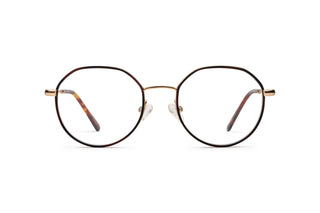 7000216070 Tortoise/Gold image-1