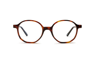 7000611110 Tortoise image-1