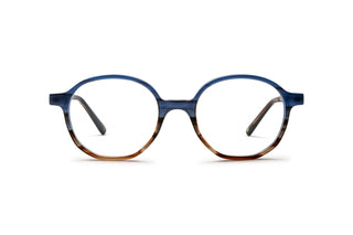 7000611120 Blue/Tortoise image-1