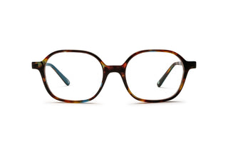 7000611140 Tortoise image-1