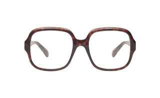 8060103910 Tortoise image-1