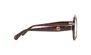 8060103910 Tortoise image-2