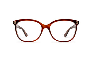 8060109370 Tortoise image-1