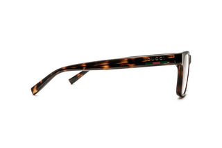 8060110480 Tortoise image-2