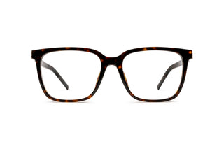 8100002880 Tortoise image-1