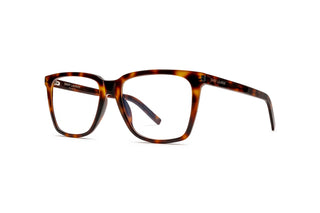 8100002890 Tortoise image-3