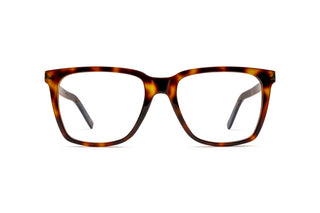 8100002890 Tortoise image-1