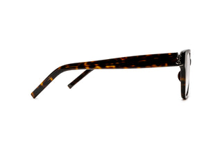 8100003310 Tortoise image-2