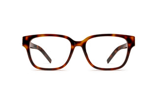 8100003340 Tortoise image-1