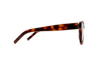 8100003340 Tortoise image-2