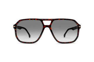 8910303830 Tortoise/Black image-1